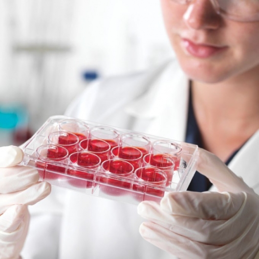 幹細胞保養品有效嗎？